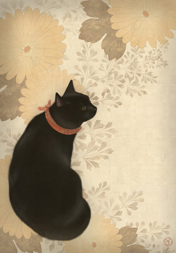 Kiku Neko (chrysanthemum cat)