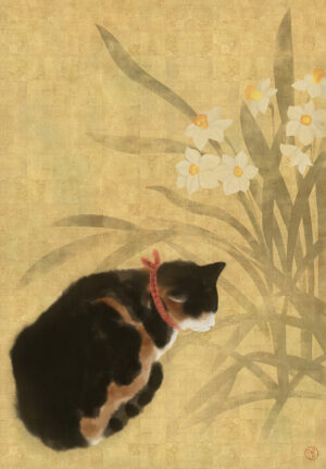 Narcissus Cat