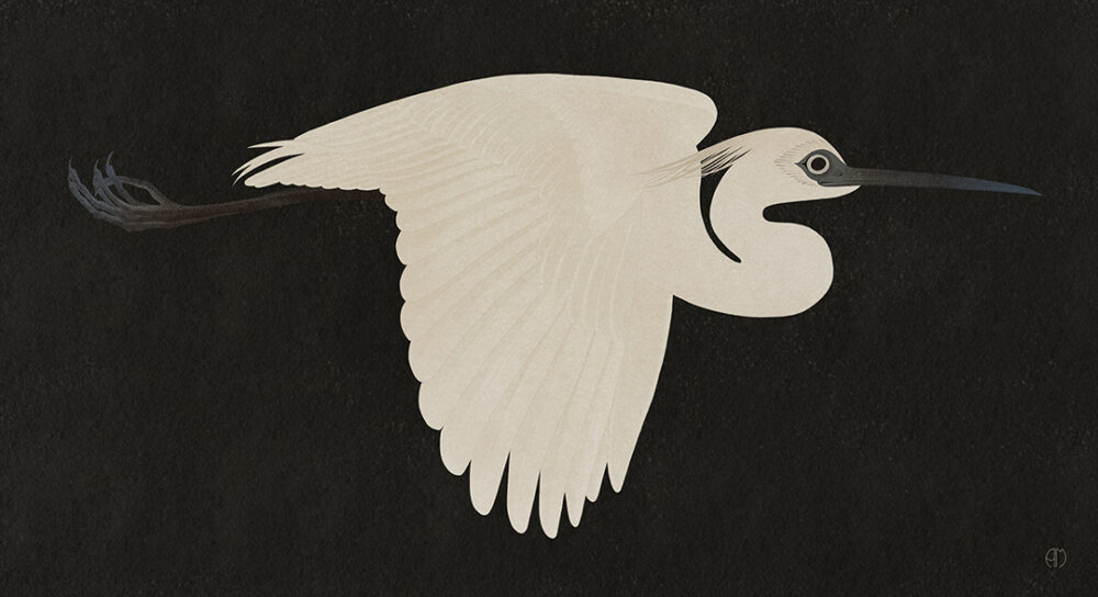 Hakuro (white heron) dark sky