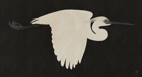 Hakuro (white heron) dark sky