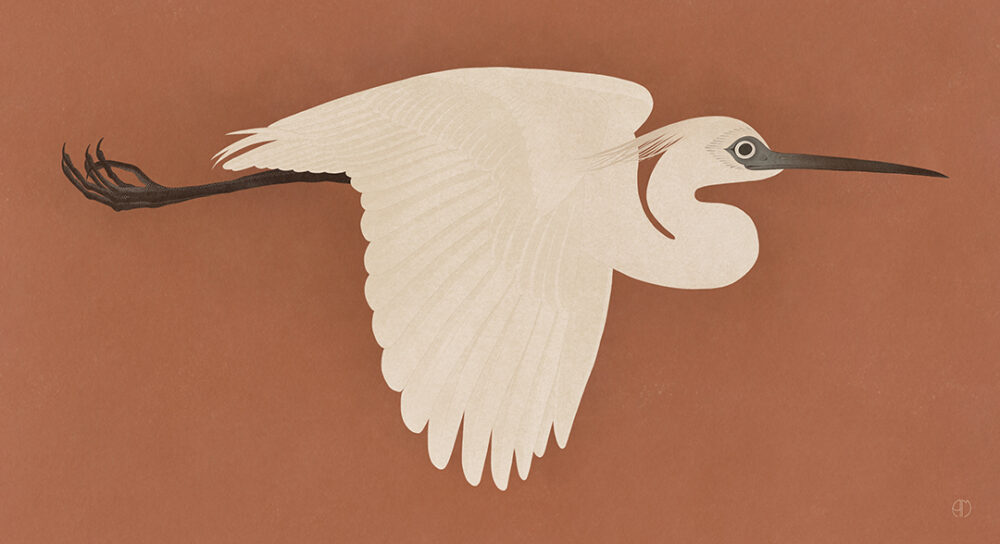 Hakuro (white heron) red sky