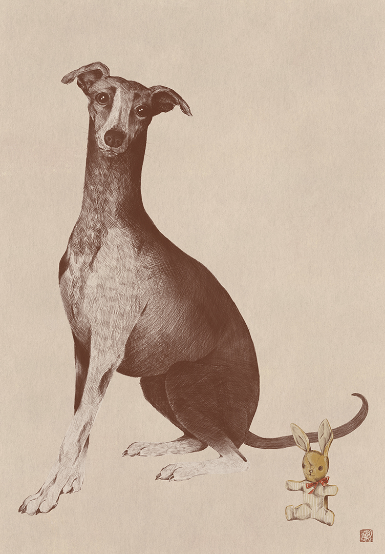 Rabbit Dog