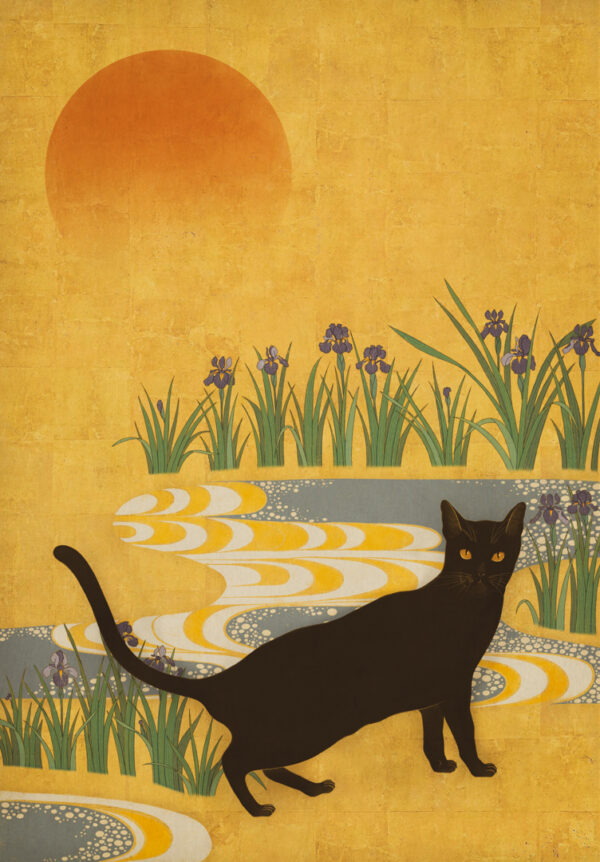 Iris cat