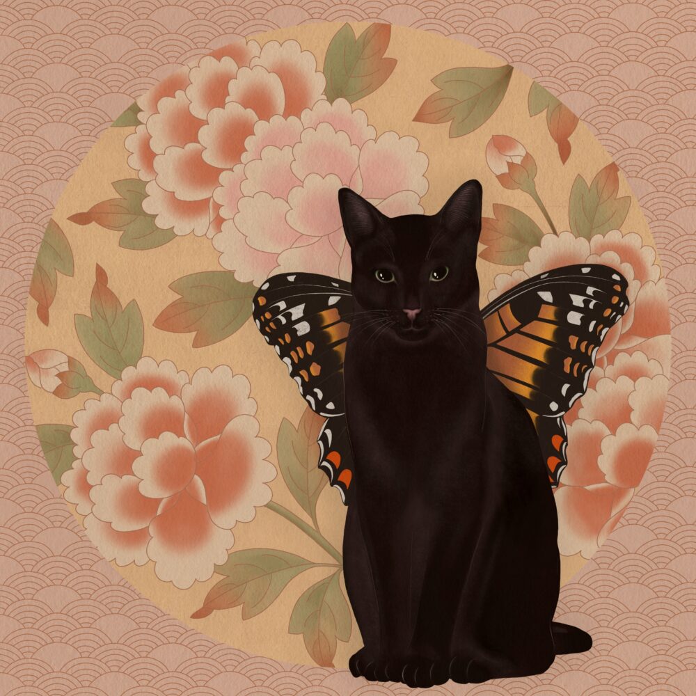 Butterfly cat