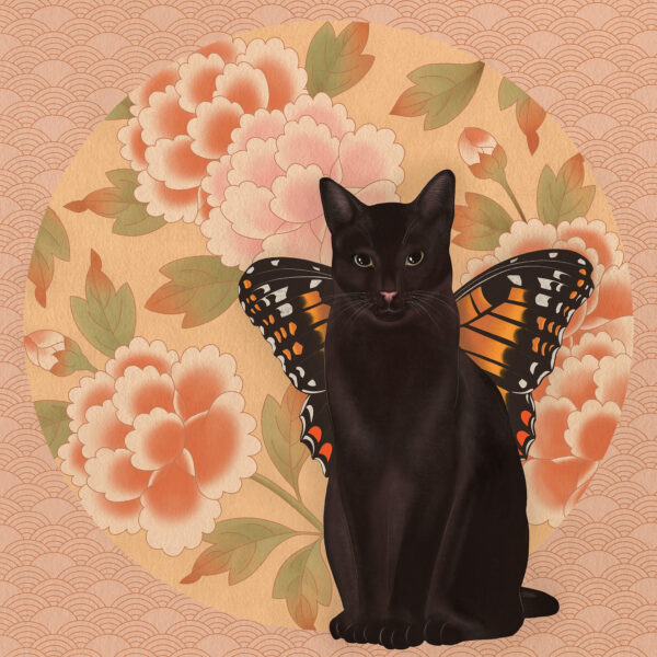 Butterfly cat